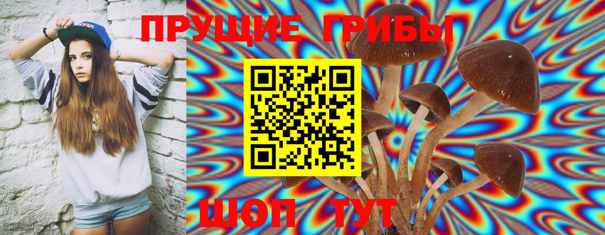 Псилоцибиновые грибы мицелий Новоуральск