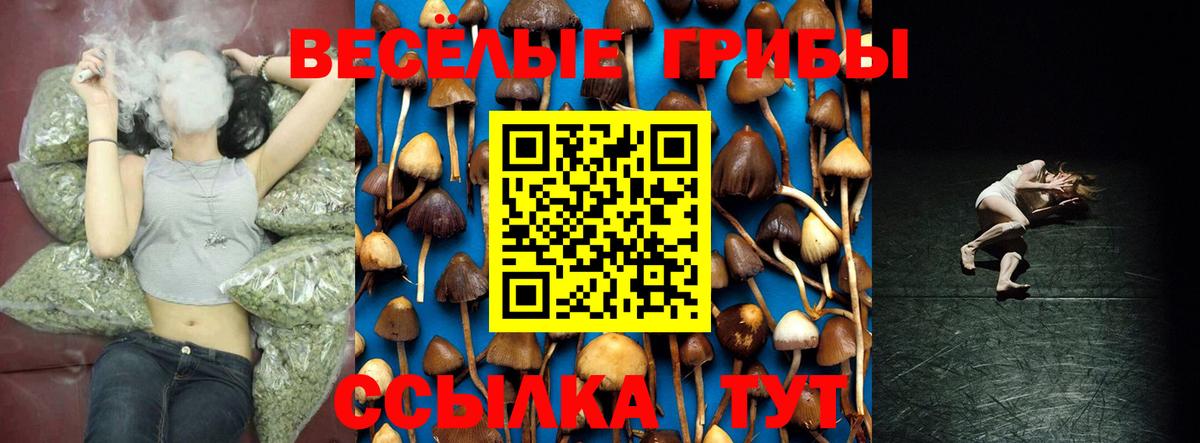 Новоуральск  Псилоцибиновые грибы Psilocybe  Вход с VPN  Псилоцибиновые грибы мицелий 